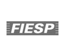 Fiesp